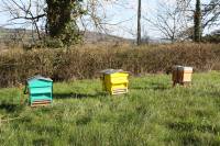 La Grange de la Ferdière : ruches